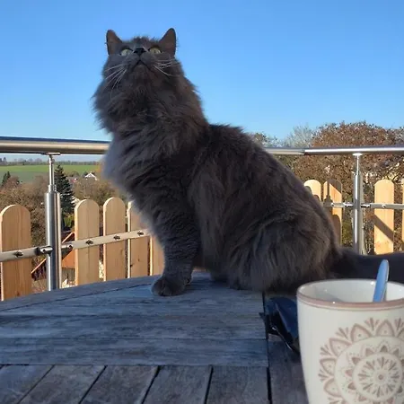 Stifterfelsen Appartamento Sinzing